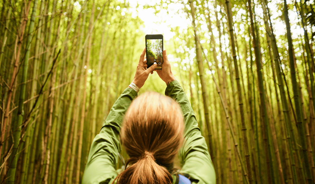 Tips for Capturing Stunning Travel Photos